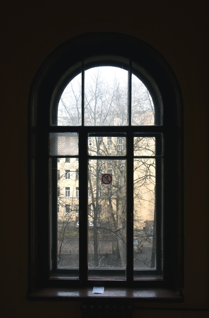 Травленые стекла начала ХХ века в окнах доходного дома Катеринич по адресу в Петербурге по адресу пр. Добролюбова, д. 3. Фото 2020